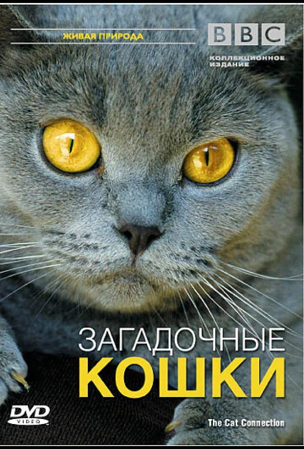 BBC: Загадочные кошки смотреть онлайн